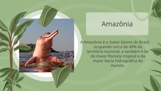 Amazônia
A Amazônia é o maior bioma do Brasil,
ocupando cerca de 49% do
território nacional, e também é lar
da maior floresta tropical e da
maior bacia hidrográfica do
mundo.
 