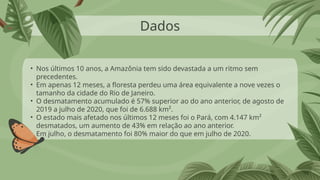 Dados
• Nos últimos 10 anos, a Amazônia tem sido devastada a um ritmo sem
precedentes.
• Em apenas 12 meses, a floresta perdeu uma área equivalente a nove vezes o
tamanho da cidade do Rio de Janeiro.
• O desmatamento acumulado é 57% superior ao do ano anterior, de agosto de
2019 a julho de 2020, que foi de 6.688 km².
• O estado mais afetado nos últimos 12 meses foi o Pará, com 4.147 km²
desmatados, um aumento de 43% em relação ao ano anterior.
• Em julho, o desmatamento foi 80% maior do que em julho de 2020.
 