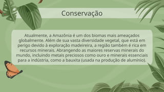 Conservação
Atualmente, a Amazônia é um dos biomas mais ameaçados
globalmente. Além de sua vasta diversidade vegetal, que está em
perigo devido à exploração madeireira, a região também é rica em
recursos minerais. Abrangendo as maiores reservas minerais do
mundo, incluindo metais preciosos como ouro e minerais essenciais
para a indústria, como a bauxita (usada na produção de alumínio).
 