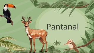 Pantanal
 