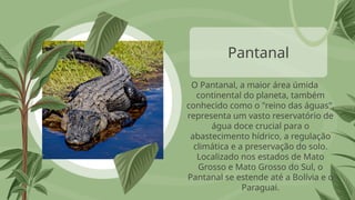 Pantanal
O Pantanal, a maior área úmida
continental do planeta, também
conhecido como o "reino das águas",
representa um vasto reservatório de
água doce crucial para o
abastecimento hídrico, a regulação
climática e a preservação do solo.
Localizado nos estados de Mato
Grosso e Mato Grosso do Sul, o
Pantanal se estende até a Bolívia e o
Paraguai.
 