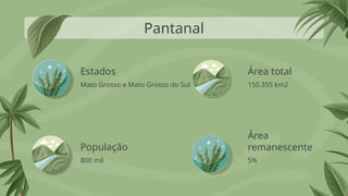 Estados
Mato Grosso e Mato Grosso do Sul 150.355 km2
800 mil 5%
Pantanal
População
Área total
Área
remanescente
 