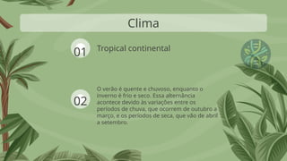 Tropical continental
O verão é quente e chuvoso, enquanto o
inverno é frio e seco. Essa alternância
acontece devido às variações entre os
períodos de chuva, que ocorrem de outubro a
março, e os períodos de seca, que vão de abril
a setembro.
Clima
01
02
 