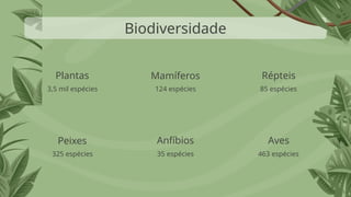 Biodiversidade
3,5 mil espécies 124 espécies 85 espécies
325 espécies 35 espécies 463 espécies
Plantas Mamíferos Répteis
Peixes Anfíbios Aves
 