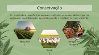 Conservação
Agricultur
a
Pecuári
a
Extração de
madeira
Certas atividades econômicas, ao serem realizadas, provocam vários impactos
ambientais que influenciam significativamente o equilíbrio do meio ambiente.
 