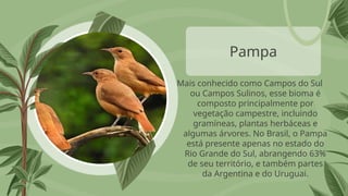 Pampa
Mais conhecido como Campos do Sul
ou Campos Sulinos, esse bioma é
composto principalmente por
vegetação campestre, incluindo
gramíneas, plantas herbáceas e
algumas árvores. No Brasil, o Pampa
está presente apenas no estado do
Rio Grande do Sul, abrangendo 63%
de seu território, e também partes
da Argentina e do Uruguai.
 