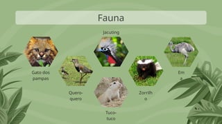 Fauna
Em
a
Gato dos
pampas
Quero-
quero
Tuco-
tuco
Zorrilh
o
Jacuting
a
 