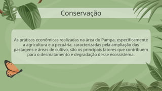 Conservação
As práticas econômicas realizadas na área do Pampa, especificamente
a agricultura e a pecuária, caracterizadas pela ampliação das
pastagens e áreas de cultivo, são os principais fatores que contribuem
para o desmatamento e degradação desse ecossistema.
 