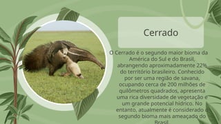 Cerrado
O Cerrado é o segundo maior bioma da
América do Sul e do Brasil,
abrangendo aproximadamente 22%
do território brasileiro. Conhecido
por ser uma região de savana,
ocupando cerca de 200 milhões de
quilômetros quadrados, apresenta
uma rica diversidade de vegetação e
um grande potencial hídrico. No
entanto, atualmente é considerado o
segundo bioma mais ameaçado do
 