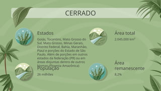 Estados
Goiás, Tocantins, Mato Grosso do
Sul, Mato Grosso, Minas Gerais,
Distrito Federal, Bahia, Maranhão,
Piauí e porções do Estado de São
Paulo. Além de porções em outros
estados da federação (PR) ou em
áreas disjuntas dentro de outros
biomas (Floresta Amazônica)
2.045.000 km²
26 milhões 8,2%
CERRADO
População
Área total
Área
remanescente
 