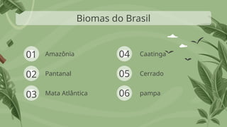 01
03
02
Biomas do Brasil
Amazônia
Mata Atlântica
Pantanal
04
05
Caatinga
pampa
Cerrado
06
 