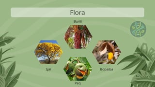 Flora
Ipê
Peq
Bopaíba
Buriti
 