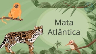 Mata
Atlântica
 