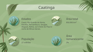 Estados
Ceará, Rio Grande do Norte,
Paraíba, Pernambuco, Sergipe,
Alagoas, Bahia, sul e leste do Piauí e
norte de Minas Gerais.
850.000 km²
27 milhões 2%
Caatinga
População
Área total
Área
remanescente
 