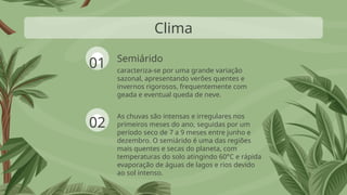 Semiárido
As chuvas são intensas e irregulares nos
primeiros meses do ano, seguidas por um
período seco de 7 a 9 meses entre junho e
dezembro. O semiárido é uma das regiões
mais quentes e secas do planeta, com
temperaturas do solo atingindo 60°C e rápida
evaporação de águas de lagos e rios devido
ao sol intenso.
Clima
01
02
caracteriza-se por uma grande variação
sazonal, apresentando verões quentes e
invernos rigorosos, frequentemente com
geada e eventual queda de neve.
 
