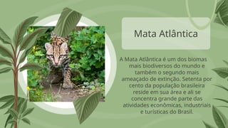 Mata Atlântica
A Mata Atlântica é um dos biomas
mais biodiversos do mundo e
também o segundo mais
ameaçado de extinção. Setenta por
cento da população brasileira
reside em sua área e ali se
concentra grande parte das
atividades econômicas, industriais
e turísticas do Brasil.
 