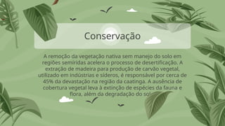 A remoção da vegetação nativa sem manejo do solo em
regiões semíridas acelera o processo de desertificação. A
extração de madeira para produção de carvão vegetal,
utilizado em indústrias e síderos, é responsável por cerca de
45% da devastação na região da caatinga. A ausência de
cobertura vegetal leva à extinção de espécies da fauna e
flora, além da degradação do solo.
Conservação
 