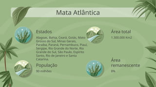 Estados
Alagoas, Bahia, Ceará, Goiás, Mato
Grosso do Sul, Minas Gerais,
Paraíba, Paraná, Pernambuco, Piauí,
Sergipe, Rio Grande do Norte, Rio
Grande do Sul, São Paulo, Espírito
Santo, Rio de Janeiro e Santa
Catarina.
1.300.000 Km2
90 milhões 8%
Mata Atlântica
População
Área total
Área
remanescente
 
