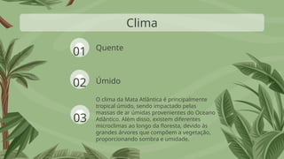 Quente
O clima da Mata Atlântica é principalmente
tropical úmido, sendo impactado pelas
massas de ar úmidas provenientes do Oceano
Atlântico. Além disso, existem diferentes
microclimas ao longo da floresta, devido às
grandes árvores que compõem a vegetação,
proporcionando sombra e umidade.
Clima
Úmido
01
02
03
 