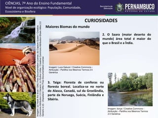 CURIOSIDADES
Maiores Biomas do mundo
2. O Saara (maior deserto do
mundo) área total é maior do
que o Brasil e a Índia.
3. Taiga: Floresta de coníferas ou
floresta boreal. Localiza-se no norte
do Alasca, Canadá, sul da Groelândia,
parte da Noruega, Suécia, Finlândia e
Sibéria.
CIÊNCIAS, 7º Ano do Ensino Fundamental
Nível de organização ecológico: População, Comunidade,
Ecossistema e Biosfera
Imagem:
(a)
Hawk
the
druid
/
GNU
Free
Documentation
License;
(b)
Capture
Queen
/
Creative
Commons
Attribution
2.0
Generic;
(c)
Rufino
Uribe
/
Creative
Commons
Attribution-Share
Alike
2.0
Generic
e
(d)
:
Utopialand
/
GNU
Free
Documentation
License
Imagem: Luca Galuzzi / Creative Commons -
Atribuição - Partilha nos Mesmos Termos 2.5
Genérica
Imagem: borya / Creative Commons -
Atribuição - Partilha nos Mesmos Termos
2.0 Genérica
 