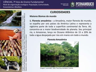 1. Floresta amazônica - a Amazônia, maior floresta do mundo,
se espalha por seis países da América Latina e representa a
vigésima parte de toda a superfície continental da Terra. Ali,
concentra-se a maior biodiversidade do planeta. Seu principal
rio, o Amazonas, lança no Oceano Atlântico de 15 a 20% de
toda a água despejada por rios em mares em todo o mundo.
CURIOSIDADES
Maiores Biomas do mundo
Floresta Amazônica
CIÊNCIAS, 7º Ano do Ensino Fundamental
Nível de organização ecológico: População, Comunidade,
Ecossistema e Biosfera
Imagem:
(a)
Hawk
the
druid
/
GNU
Free
Documentation
License;
(b)
Capture
Queen
/
Creative
Commons
Attribution
2.0
Generic;
(c)
Rufino
Uribe
/
Creative
Commons
Attribution-Share
Alike
2.0
Generic
e
(d)
:
Utopialand
/
GNU
Free
Documentation
License
Imagem: LecomteB / GNU Free Documentation License
 