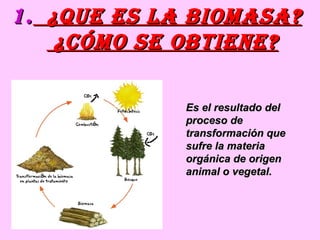 ¿que es la biomasa?  ¿Cómo se obtiene? Es el resultado del proceso de transformación que sufre la materia orgánica de origen animal o vegetal. 