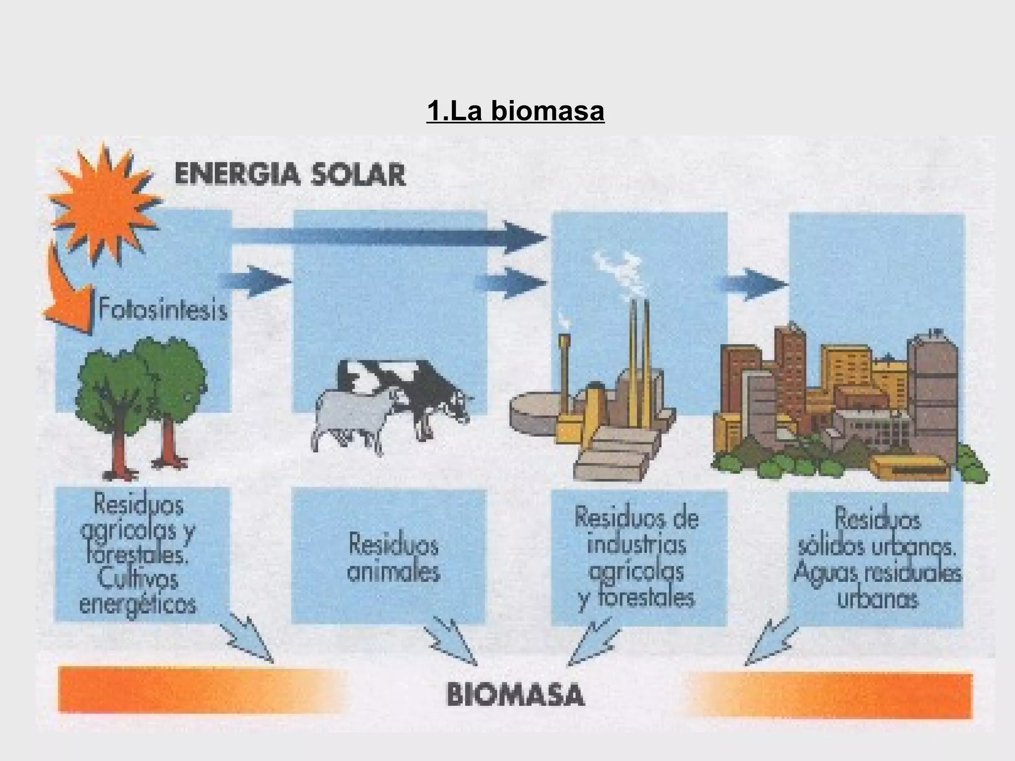 la energia biomasa | PPT | Agriculture | Industries