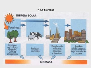 1.La biomasa   