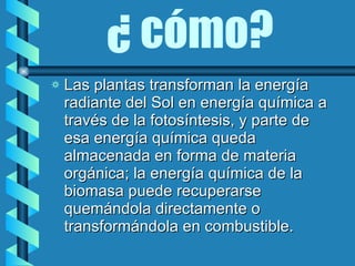 Las plantas transforman la energía radiante del Sol en energía química a través de la fotosíntesis, y parte de esa energía química queda almacenada en forma de materia orgánica; la energía química de la biomasa puede recuperarse quemándola directamente o transformándola en combustible. ¿ cómo? 