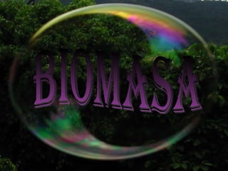Biomasa 