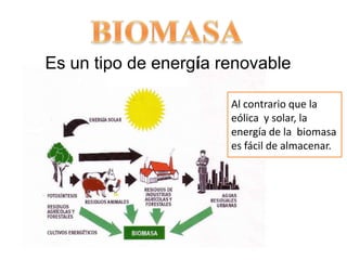 BIOMASA Es un tipo de energía renovable Al contrario que la eólica  y solar, la energía de la  biomasa es fácil de almacenar. 