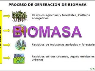 BIOMASA