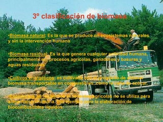 Residuos forestal o agrícolas