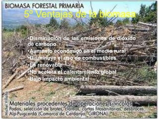 Residuos de industria y forestales
