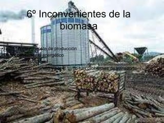 Residuos sólidos urbanos3º clasificación de biomasaBiomasa natural: Es la que se produce en ecosistemas naturales y sin la intervención humana