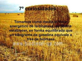 Biomasa residual: Es la que genera cualquier actividad humana, principalmente en procesos agrícolas, ganaderos y basuras y aguas residuales