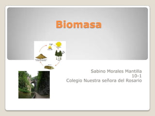 Biomasa



           Sabino Morales Mantilla
                              10-1
 Colegio Nuestra señora del Rosario
 