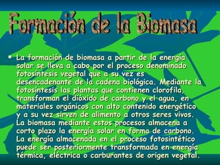 La formación de biomasa a partir de la energía solar se lleva a cabo por el proceso denominado fotosíntesis vegetal que a su vez es desencadenante de la cadena biológica. Mediante la fotosíntesis las plantas que contienen clorofila, transforman el dióxido de carbono y el agua, en materiales orgánicos con alto contenido energético y a su vez sirven de alimento a otros seres vivos. La biomasa mediante estos procesos almacena a corto plazo la energía solar en forma de carbono. La energía almacenada en el proceso fotosintético puede ser posteriormente transformada en energía térmica, eléctrica o carburantes de origen vegetal.   Formación de la Biomasa 
