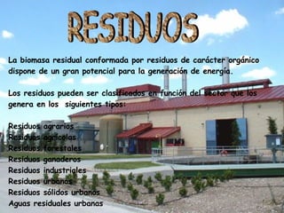 La biomasa residual conformada por residuos de carácter orgánico dispone de un gran potencial para la generación de energía. Se puede producir de manera espontánea en la naturaleza o como consecuencia de la actividad del hombre, agrícola, forestal e industrial. Los residuos pueden ser clasificados en función del sector que los genera en los siguientes tipos: Residuos agrarios  Residuos agrícolas Residuos forestales Residuos ganaderos Residuos industriales  Residuos urbanos  Residuos sólidos urbanos  Aguas residuales urbanas  RESIDUOS La biomasa residual conformada por residuos de carácter orgánico  dispone de un gran potencial para la generación de energía.  Los residuos pueden ser clasificados en función del sector que los  genera en los  siguientes tipos: Residuos agrarios  Residuos agrícolas Residuos forestales Residuos ganaderos Residuos industriales  Residuos urbanos  Residuos sólidos urbanos  Aguas residuales urbanas RESIDUOS 