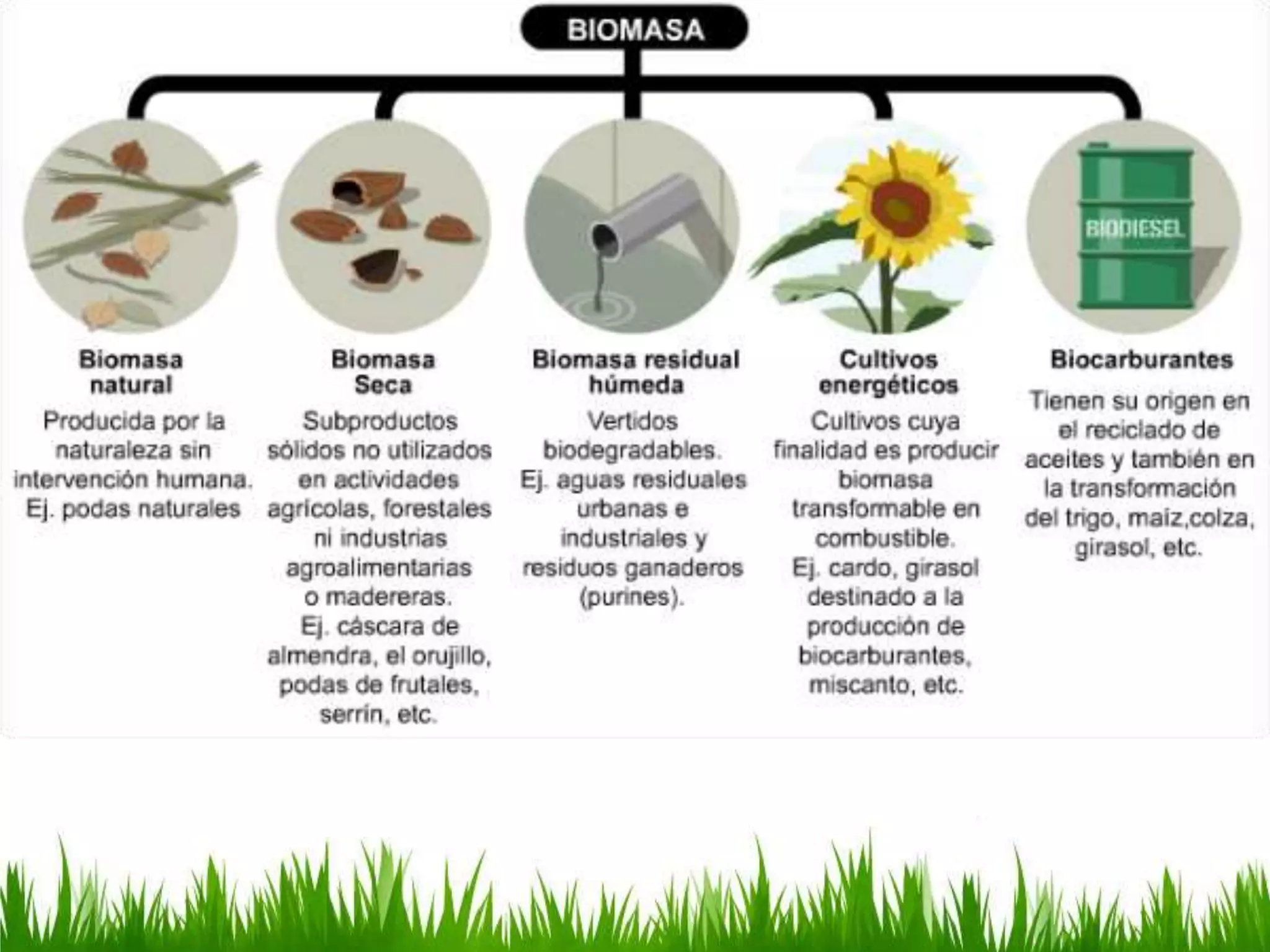 Biomasa | PPT