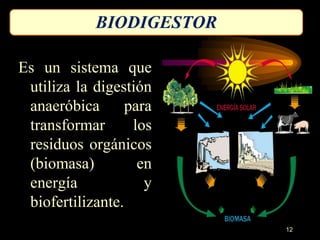 BIODIGESTOR 
Es un sistema que 
utiliza la digestión 
anaeróbica para 
transformar los 
residuos orgánicos 
(biomasa) en 
energía y 
biofertilizante. 
12 
 