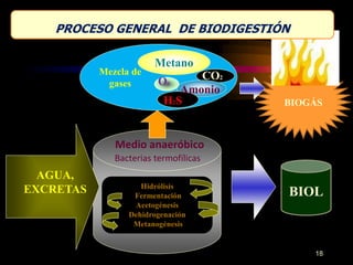 PROCESO GENERAL DE BIODIGESTIÓN 
Metano 
O2 
Hidrólisis 
Fermentación 
Acetogénesis 
Dehidrogenación 
Metanogénesis 
CO2 
Amonio 
H2S 
Mezcla de 
gases 
Medio anaeróbico 
BIOGÁS 
BIOL 
AGUA, 
EXCRETAS 
Bacterias termofílicas 
18 
 