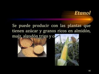 Etanol 
Se puede producir con las plantas que 
tienen azúcar y granos ricos en almidón, 
maíz, algodón trigo y cebada. 
46 
 