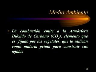 Medio Ambiente 
• La combustión emite a la Atmósfera 
Dióxido de Carbono (CO2), elemento que 
es fijado por los vegetales, que lo utilizan 
como materia prima para construir sus 
tejidos 
55 
 