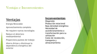 Ventajas e Inconvenientes
Ventajas
Energía Renovable
Aprovechamiento completo
No requiere nuevas tecnologías
Reduce el deterioro
medioambiental
Proporciona puestos de trabajo
Ahorra divisas y disminuye la
dependencia energética del
exterior
Inconvenientes
Dispersión
Producción estacional
Baja densidad energética
Necesidad de
acondicionamiento o
transformación para su
utilización
Coste de recolección,
transporte y
almacenamiento
 