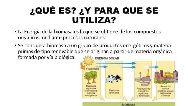 Biomasa