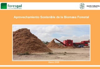 Aprovechamiento Sostenible de la Biomasa Forestal Marzo 2008 