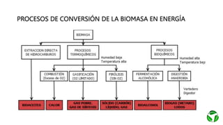 PROCESOS DE CONVERSIÓN DE LA BIOMASA EN ENERGÍA
 