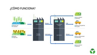 ¿CÓMO FUNCIONA?
 