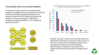 Los principales cultivos con potencial energético
En Ecuador el mayor volumen de producción de
residuos es: la palma africana que genera cerca de 6,9
millones de toneladas anuales (equivalente a la
energía contenida en 653 millones de galones de
diésel) y el cacao que produce 2 millones de
toneladas anuales (equivalente a 101 millones de
galones de diésel).
El sector azucarero industrial en el Ecuador tiene una
significativa importancia en provincias de la Costa, así
como en las provincias de Imbabura y Cañar. En las
principales azucareras ya se han adoptado y
repotenciado las instalaciones para permitir la
cogeneración dre biomasa a partir del bagazo de la
caña.
Principales fuentes de Biomasa Ecuador
 